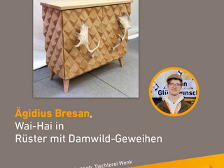 Die Gute Form 2025: Ägidius Bresan, Wai-Hai in Rüster mit Damwild-Geweihen